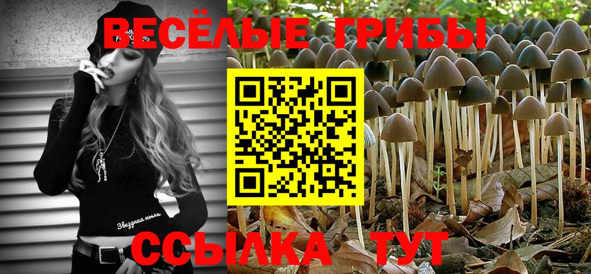 Псилоцибиновые грибы MAGIC MUSHROOMS  Вход с VPN  Сызрань  Псилоцибиновые грибы прущие грибы 